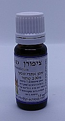 ��� ���� ������