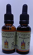 ����� �� �������� - ����