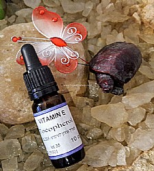 ��� ������ E ���� - ����