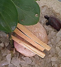 ��� ���� ���� Palo Santo