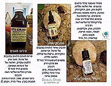 ���� ������ ����� ���� ����