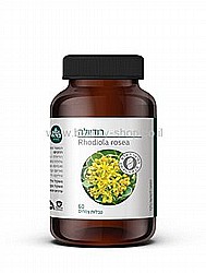 רודיולה | Rhodiola רודיולה | Rhodiola