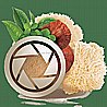כמוסות פורמולת פוקוס | FOCUS FORMULA