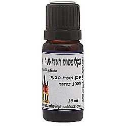 אקליפטוס רדיאטה - שלוס אקליפטוס רדיאטה - שלוס