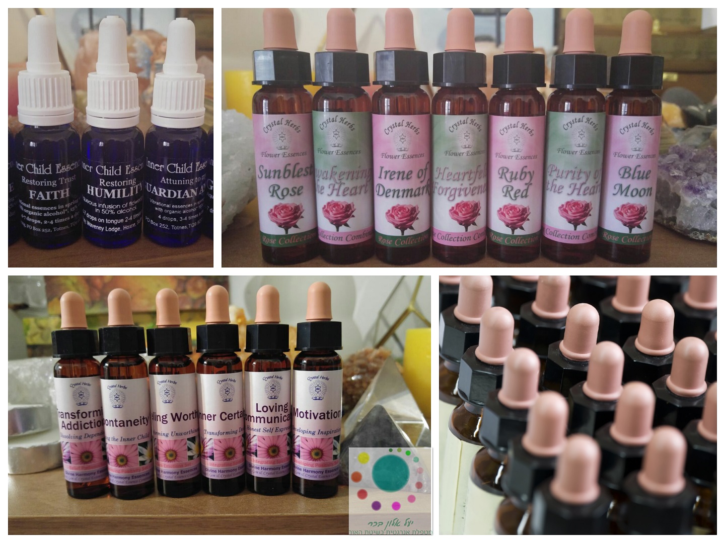 ��� ������